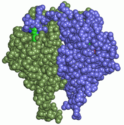 Image Asym./Biol. Unit - manually