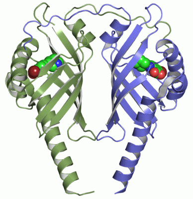 Image Asym./Biol. Unit - manually