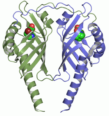 Image Asym./Biol. Unit - manually