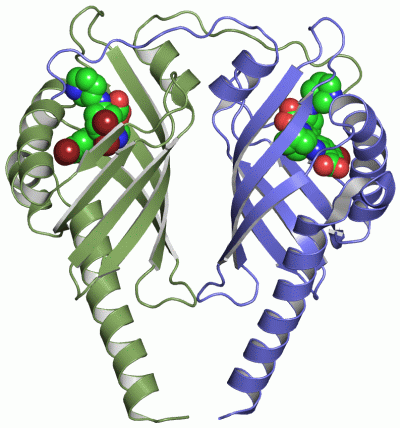 Image Asym./Biol. Unit - manually