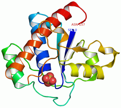 Image Asym./Biol. Unit - manually