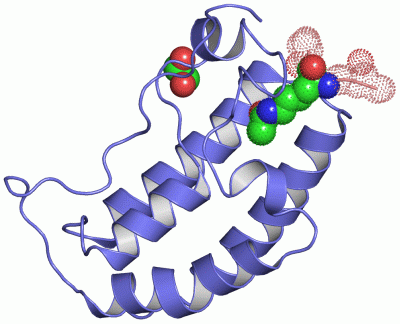 Image Asym./Biol. Unit - manually