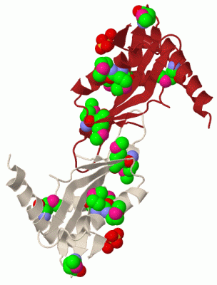 Image Biol.Unit 1 - manually