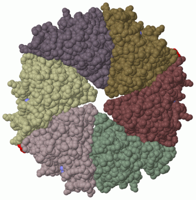 Image Biol.Unit 1 - manually