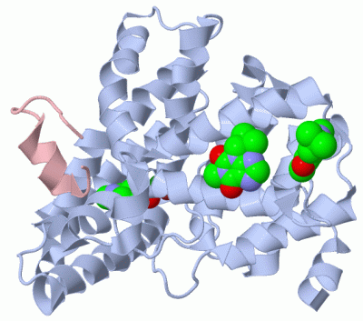 Image Biol.Unit 1 - manually