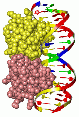 Image Asym./Biol. Unit - manually