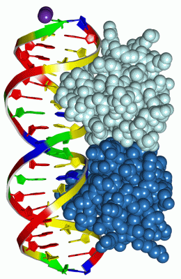 Image Asym./Biol. Unit - manually