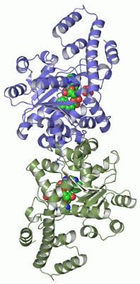 Image Asym./Biol. Unit - manually