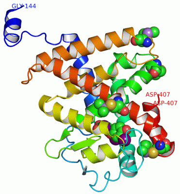 Image Asym./Biol. Unit - manually