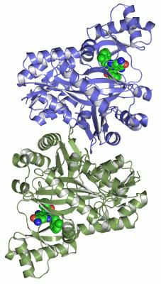 Image Asym./Biol. Unit - manually