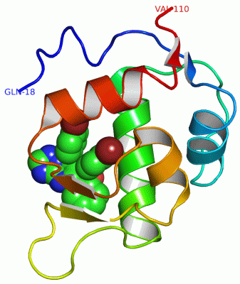 Image Asym./Biol. Unit - manually