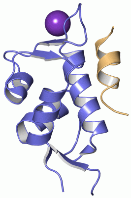 Image Asym./Biol. Unit - manually