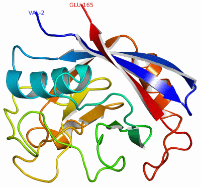 Image Asym./Biol. Unit - manually