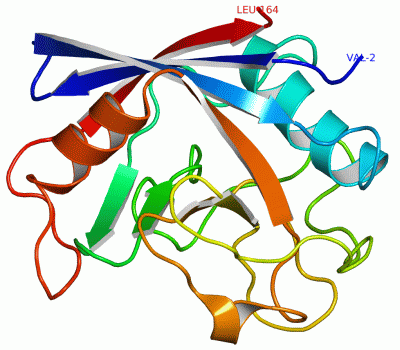 Image Asym./Biol. Unit - manually