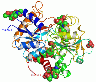 Image Asym./Biol. Unit - manually