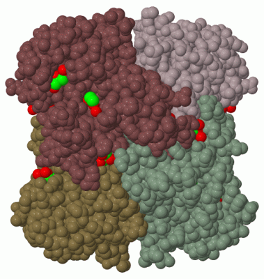 Image Biol.Unit 1 - manually