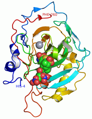 Image Asym./Biol. Unit - manually