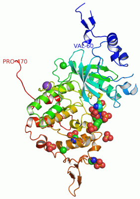 Image Asym./Biol. Unit - manually