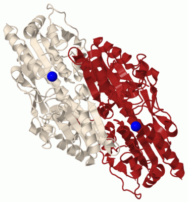 Image Biol.Unit 1 - manually