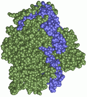 Image Asym./Biol. Unit - manually