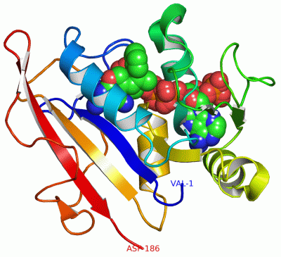 Image Asym./Biol. Unit - manually