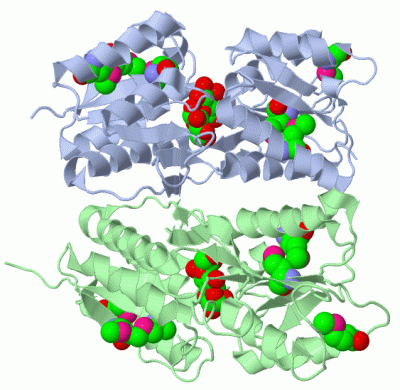 Image Biol.Unit 1 - manually