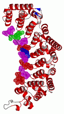 Image Asym./Biol. Unit - manually