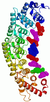 Image Asym./Biol. Unit - manually