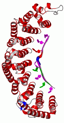 Image Asym./Biol. Unit - manually
