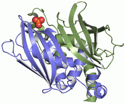 Image Asym./Biol. Unit - manually