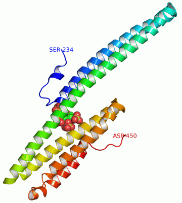 Image Asym./Biol. Unit - manually