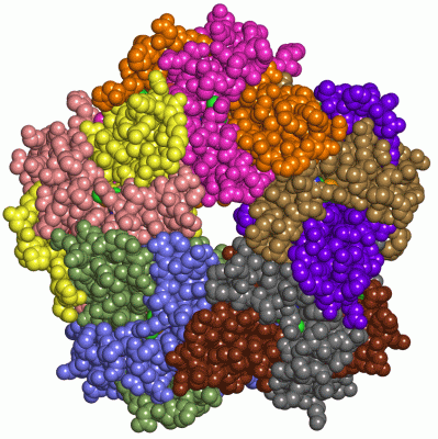 Image Asym./Biol. Unit - manually