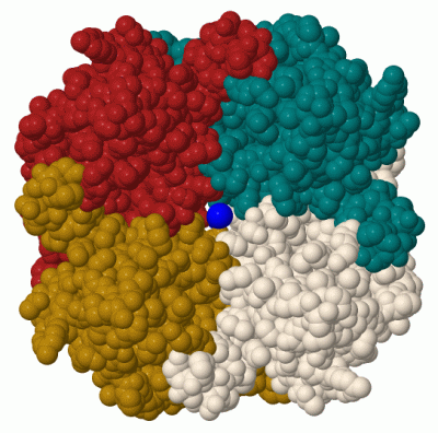 Image Biol.Unit 1 - manually