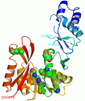 Image Asym./Biol. Unit - manually