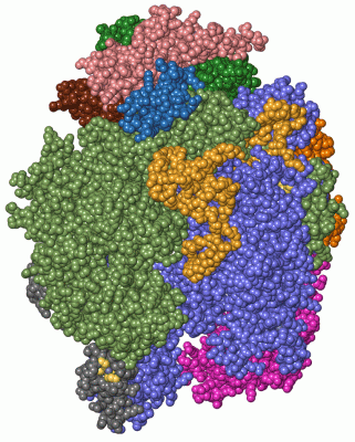 Image Asym./Biol. Unit - manually