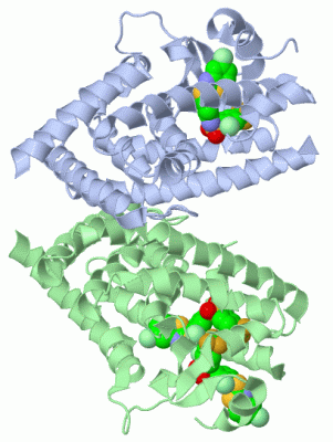 Image Biol.Unit 1 - manually