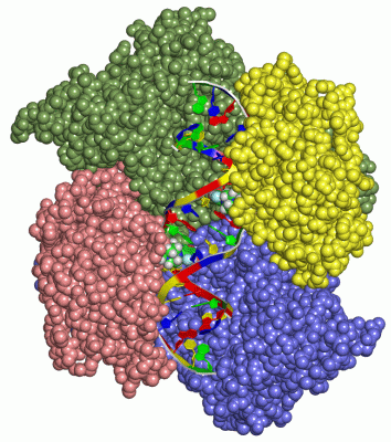 Image Asym./Biol. Unit - manually