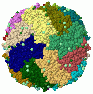 Image Biol.Unit 1 - manually