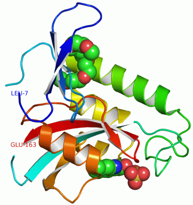 Image Asym./Biol. Unit - manually