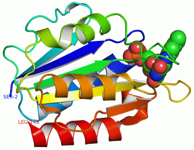 Image Asym./Biol. Unit - manually