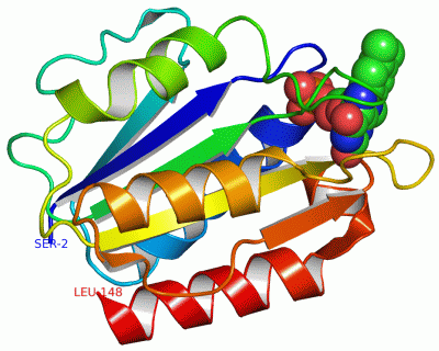 Image Asym./Biol. Unit - manually