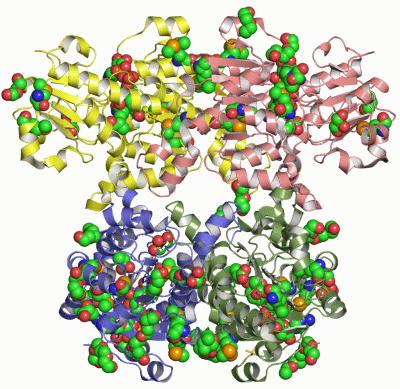 Image Asym./Biol. Unit - manually