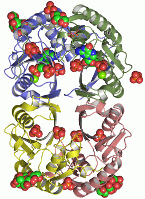 Image Asym./Biol. Unit - manually