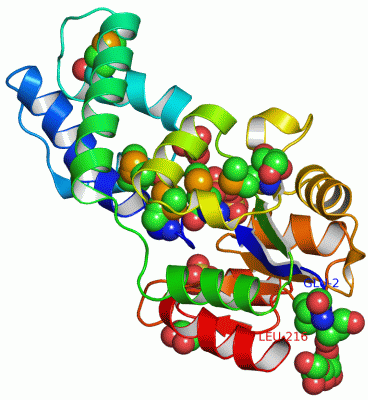 Image Asym./Biol. Unit - manually