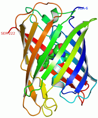 Image Asym./Biol. Unit - manually