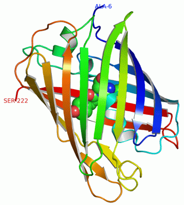 Image Asym./Biol. Unit - manually