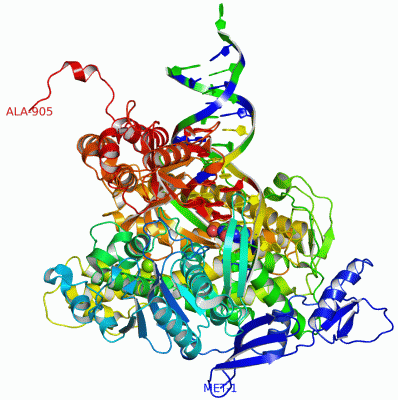 Image Asym./Biol. Unit - manually