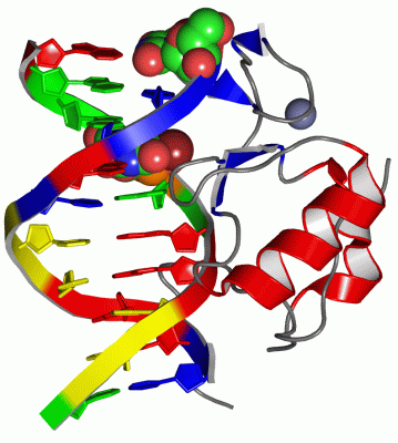 Image Asym./Biol. Unit - manually