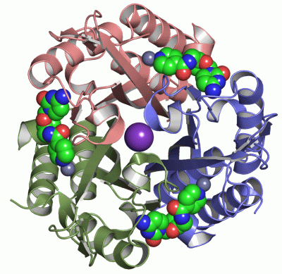 Image Asym./Biol. Unit - manually