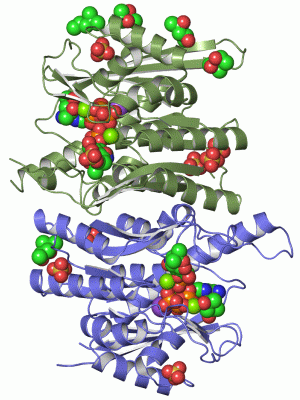 Image Asym./Biol. Unit - manually